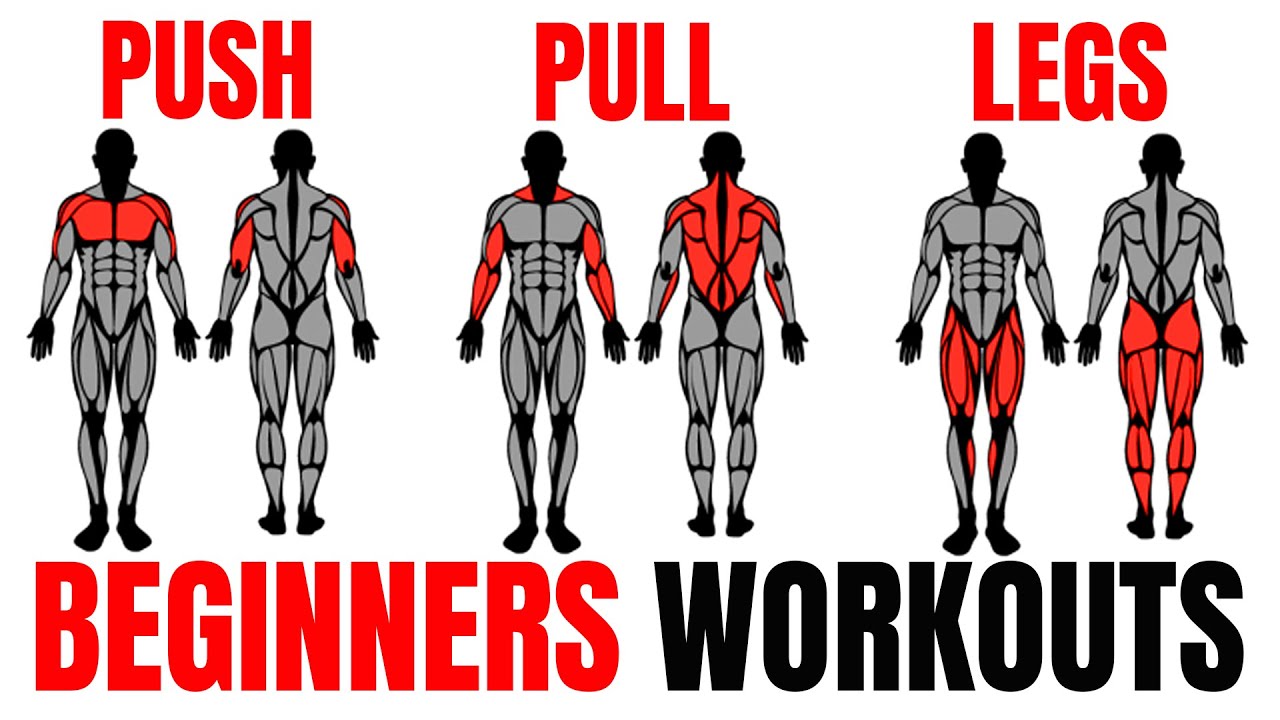 The Smartest Beginners Push Pull Legs Routine (Fully Explained)💪