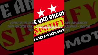 Promoting on Spotify, YouTube, TikTok, Instagram, and Facebook helps you grow your audience viewers.
