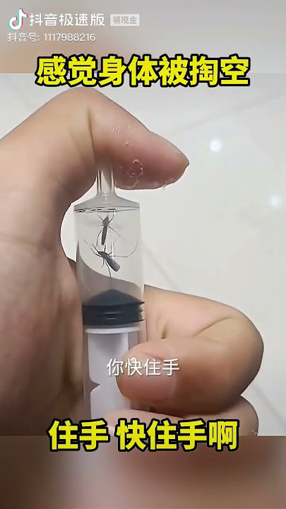 這蚊子老受罪了...哈哈，酷刑真厲害#整蚊子的100種方法#蚊子#消滅蚊子#蚊子的末日#惡搞配音 #搞笑视频