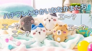 ぬいぐるみ開封】ちいかわ ハチワレとごきげんななかまマスコット（4個