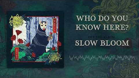The Home Team - Who Do You Know Here? (Official Stream Video)