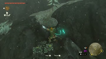 [DAY 567] of finding one korok seed in TotK everyday until we get them all