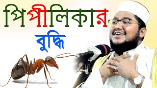পিপিলিকার বুদ্ধি  || সাদিকুর রহমান আল আজহারী  || Sadikur Rahman Al Azhari |নতুন ওয়াজ ২০১৯