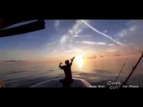 fly fishing for