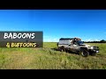 Baboons & Buffoons | Self Drive 4x4 Botswana | Chobe4x4 | Ep 6
