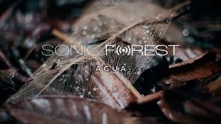AGUA - SONIC FOREST