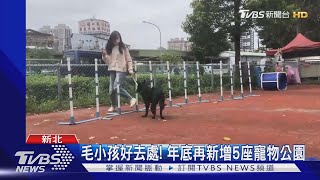 毛小孩好去處! 年底再新增5座寵物公園｜TVBS新聞