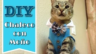 DIY Chaleco con Moño para Gatos