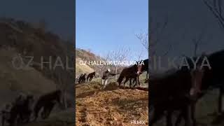 bütün dünya senin olsun bir dost yeter bana🎵🎵