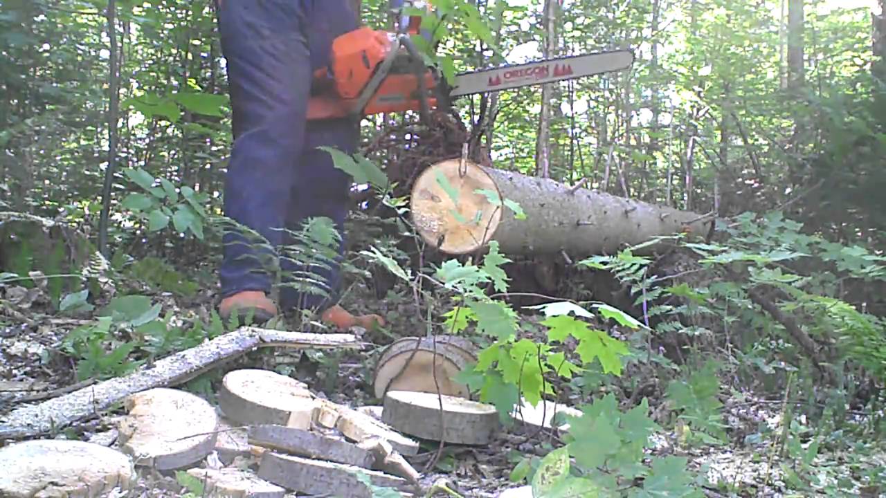 Husqvarna 357 372 385 XP chainsaws YouTube