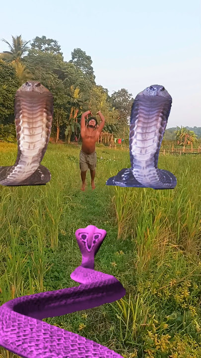 Apas opas mar khapas senek aya hara hara Shambhu bachalo shiv somvu#short#video