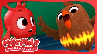 Echobird Trouble 🐦 - Morphle and the Magic Pets | Available on Disney+ and Disney Jr by Magic Cartoon Animals! - Morphle TV 5,265 views 1 month ago 2 minutes, 5 seconds