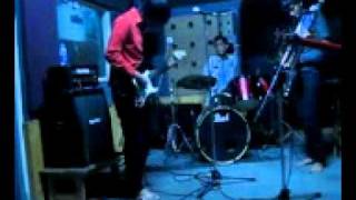 Brain Volt - Sheep