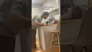 Grumpy cat caught on camera#Cat #FunnyCat #GrumpyCat #CatReaction #CuteCats #AngryCat #catmoments