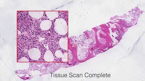 „Computer Vision and Biomedical Image Analysis“ by Philipp Kainz