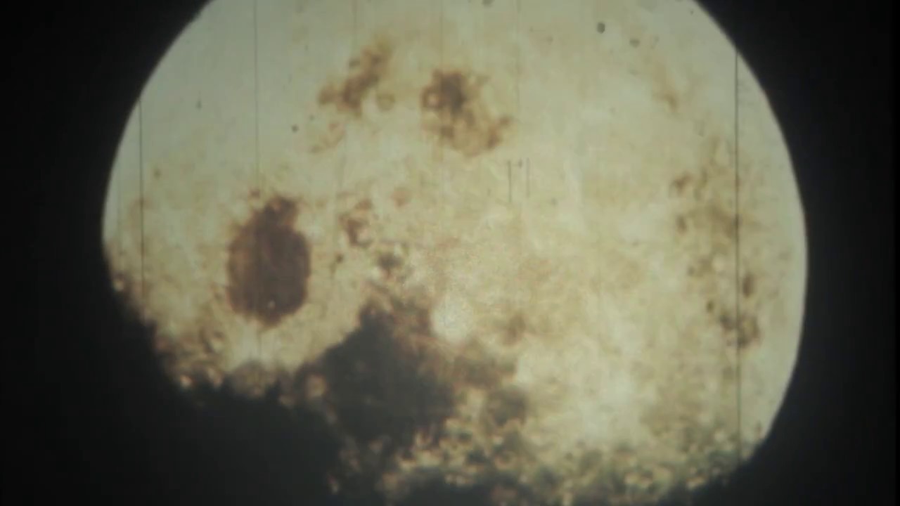 Black Flower - Lunar Eclipse (videoclip) adlı videoyu YouTube'da izle Black Flower - Lunar Eclipse (videoclip) adlı videoyu YouTube'da izle