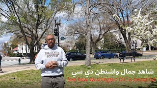 Washington DC is Unbelievable Cityلن تصدق جمال واشنطن دي سي