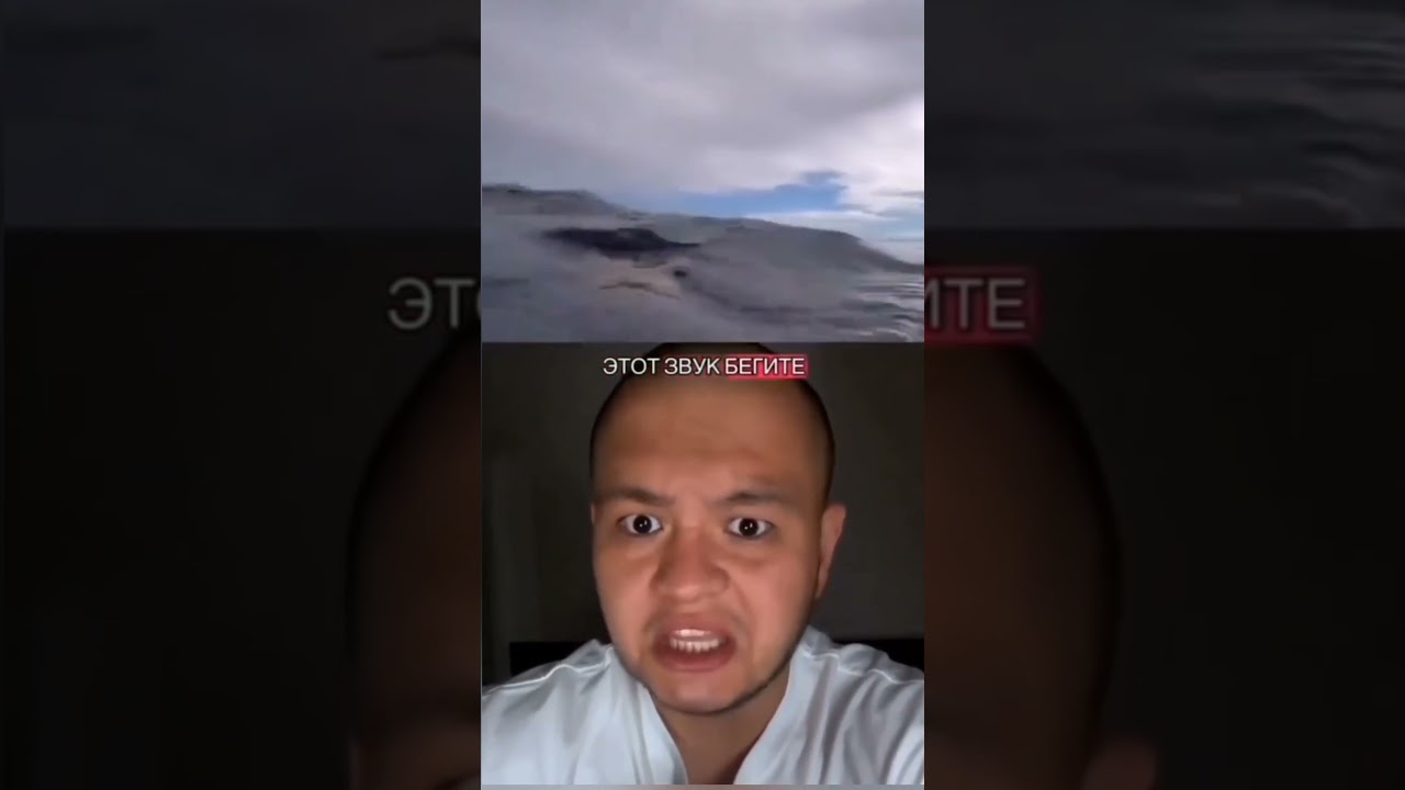 Тгк - Подвал Тооджи 