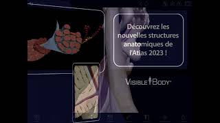 Atlas d'anatomie humaine 2023 | Une référence 3D complète ! screenshot 5