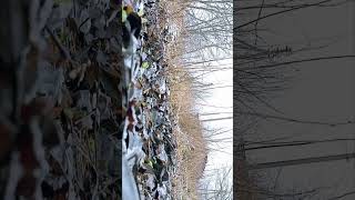 Trailerisamžinas Frontas.