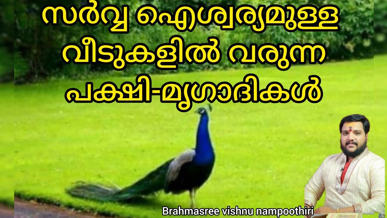സർവ്വ ഐശ്വര്യമുള്ള വീടുകളിൽ വരുന്ന പക്ഷിമൃഗാദി ജീവികൾ | 9567955292 | Brahmasree vishnu nampoothiri