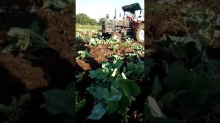 HMT 5022 EDI HMT 5022 EDI