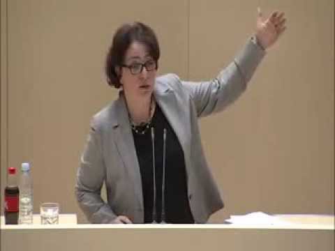 საქართველოს პარლამენტის დროებითი საგამოძიებო კომისიის დასკვნა 07.03.2014