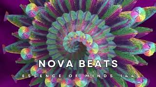 Essence Of Minds 144 [Melodic Techno/House & Progressive House DJ Mix]