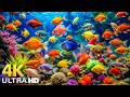 DREAM AQUARIUM 4K - Marine Life, Sea Animals and Coral Reef Fish Tank Sounds for Deep Sleep