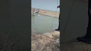 Рыбалка кастинговая сетей #балык #kz #рыбалка #fishing #рекомендации #сазаннакаждомзабросе #рыбы