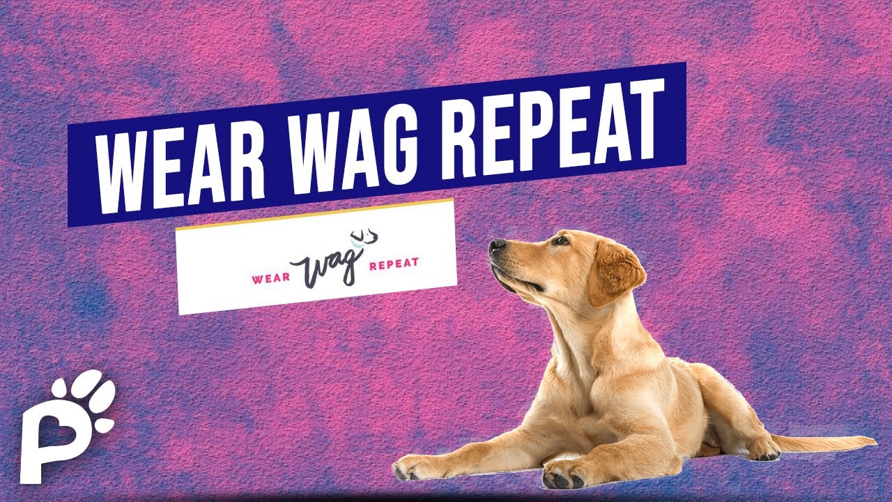 An Influencer Raises Awareness for Pets | Tori Mistick | Pawareness Podcast Ep. 38