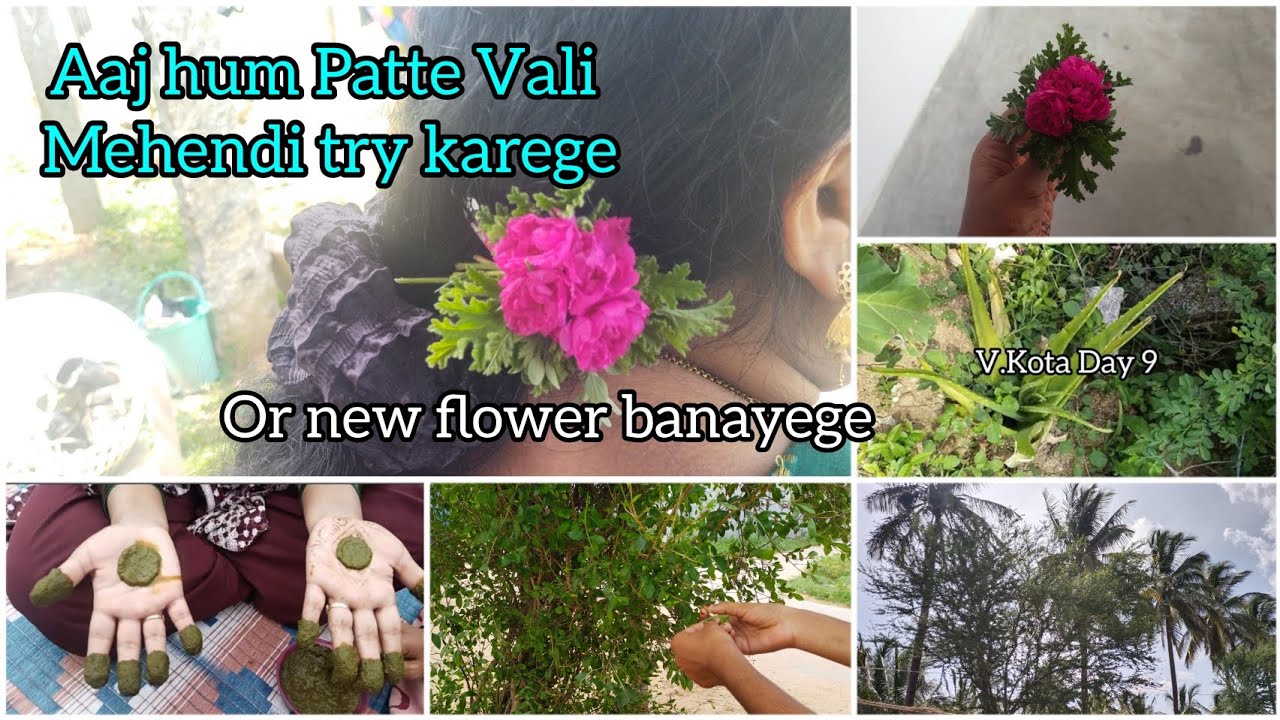 v-kota-day-9-aaj-me-gao-ki-patti-vali-mehendi-try-karungi-or-new