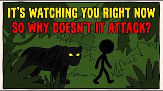 The Real Reason Jaguars Almost Never Attack Humans