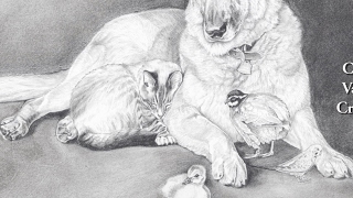 CreekValleyCritters Live Stream
CreekValleyCritters Live Stream CreekValleyCritters Live Stream