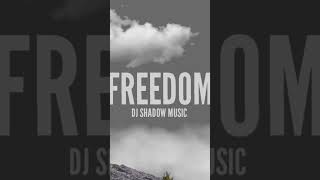 "Freedom" - out now 🔥 #edm #music #freedom #dj #djshadowmusic #producer