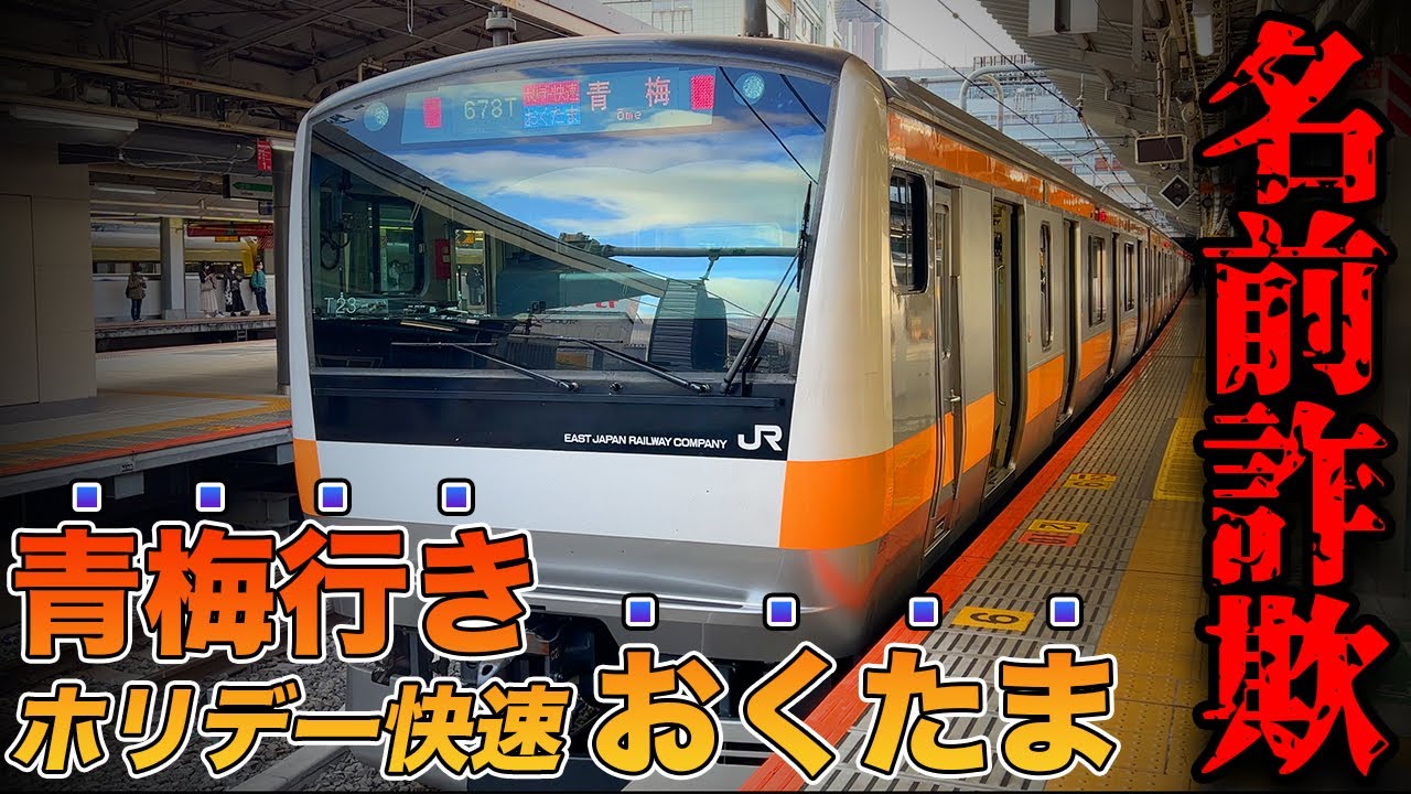 【奥多摩に行かないおくたま号】名前と行き先が矛盾しすぎている列車に乗ってきた！！