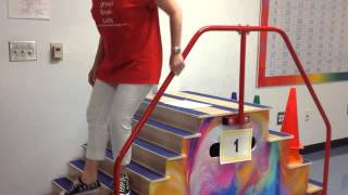 Famous Platform Steps Training Video Net Worth
