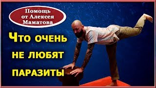 Что очень не любят паразиты. Простые практики для изнания гельминтов Что очень не любят паразиты. Простые практики для изнания гельминтов