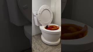 Making The Largest Whirlpool In Giant Toilet Orange Pool