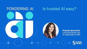 E69 | AI Literacy for All with Phaedra Boinodiris | Pondering AI