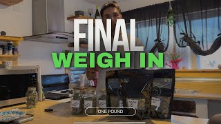 Final Harvest Weight Humboldt Seed Co & In House Genetics