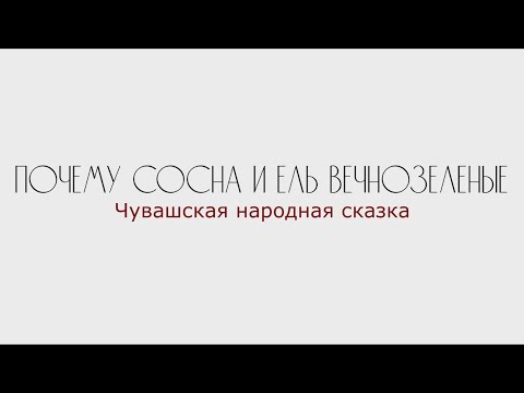 Почему сосна и ель вечнозеленые  чувашская сказка