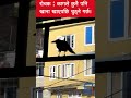NIME Education