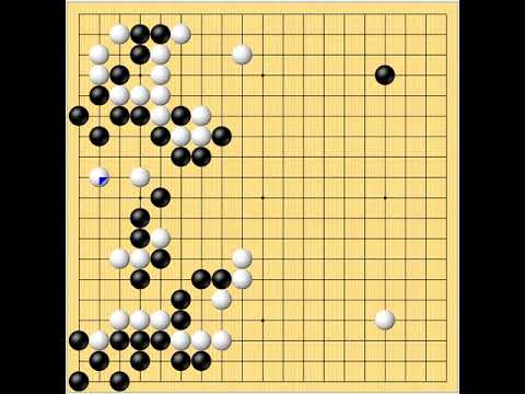 한중8단대국  백:한