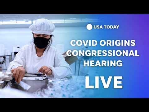 Watch: Former CDC director Robert Redfield testifies before House on COVID origins