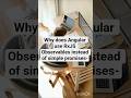 Why does Angular use RxJS Observables instead of simple promises? 🤔 #Angular #RxJS #Observables