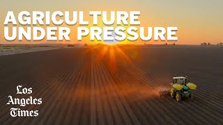 Agriculture under pressure: The Imperial Valley braces for a future with less water