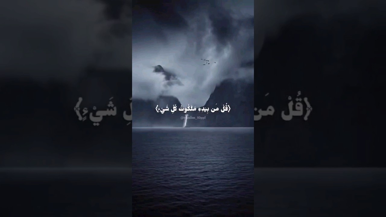 {قل لمن الأرض ومن فيها إن كنتم تعلمون..} تلاوة خاشعة من سورة المؤمنون للشيخ #ياسر_الدوسري حفظه الله❤