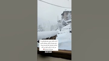 { اليوم نختم على أفواههم وتكلمنا أيديهم وتشهد أرجلهم بما كانوا يكسبون }_ القارئ إسلام صبحي