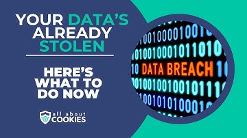 Your Data’s Already Stolen: Here’s What to Do Now
